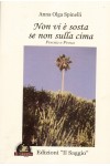 Non vi è sosta se non sulla cima – poesia e prosa